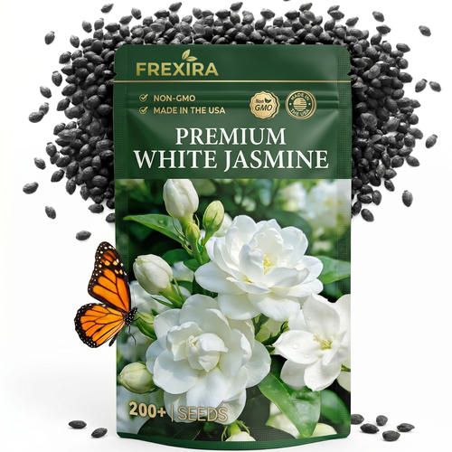 Jasmine Flower Seeds (Winter Hardy) – 50% OFF Today Only