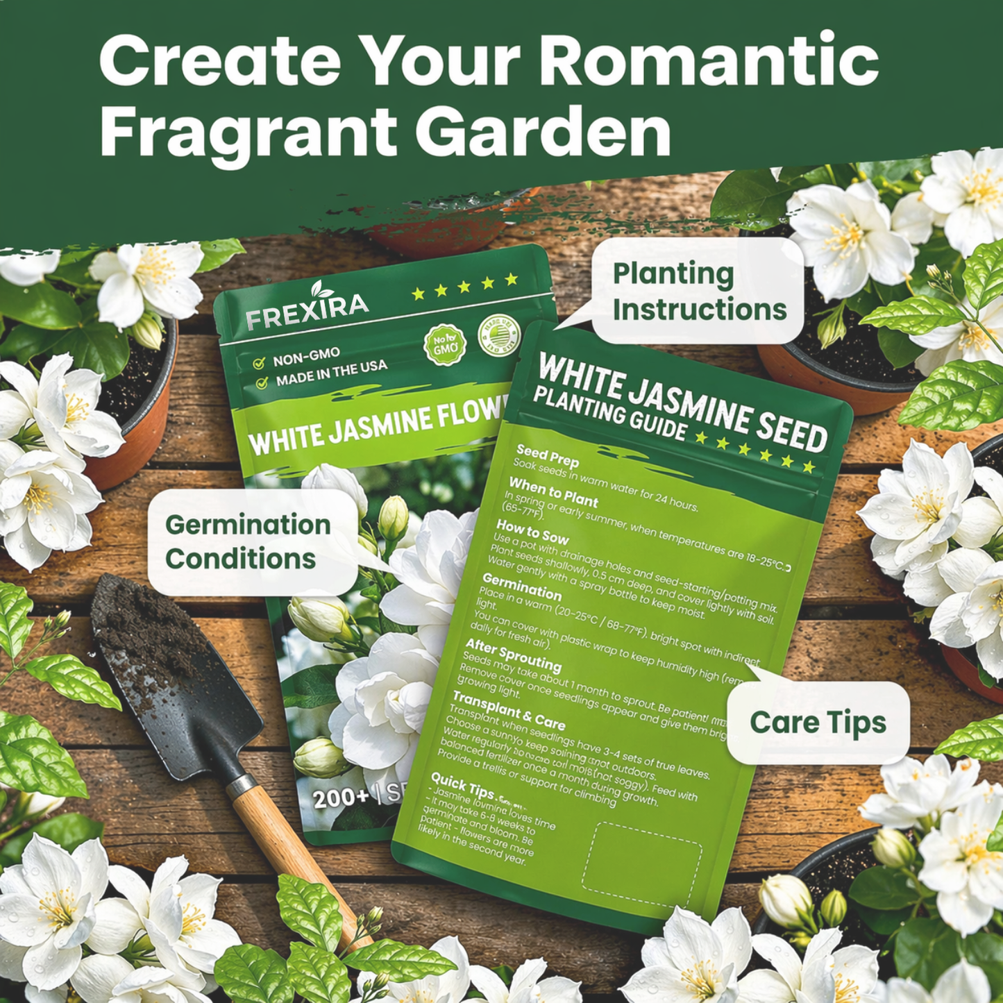 Jasmine Flower Seeds (Winter Hardy) – 50% OFF Today Only