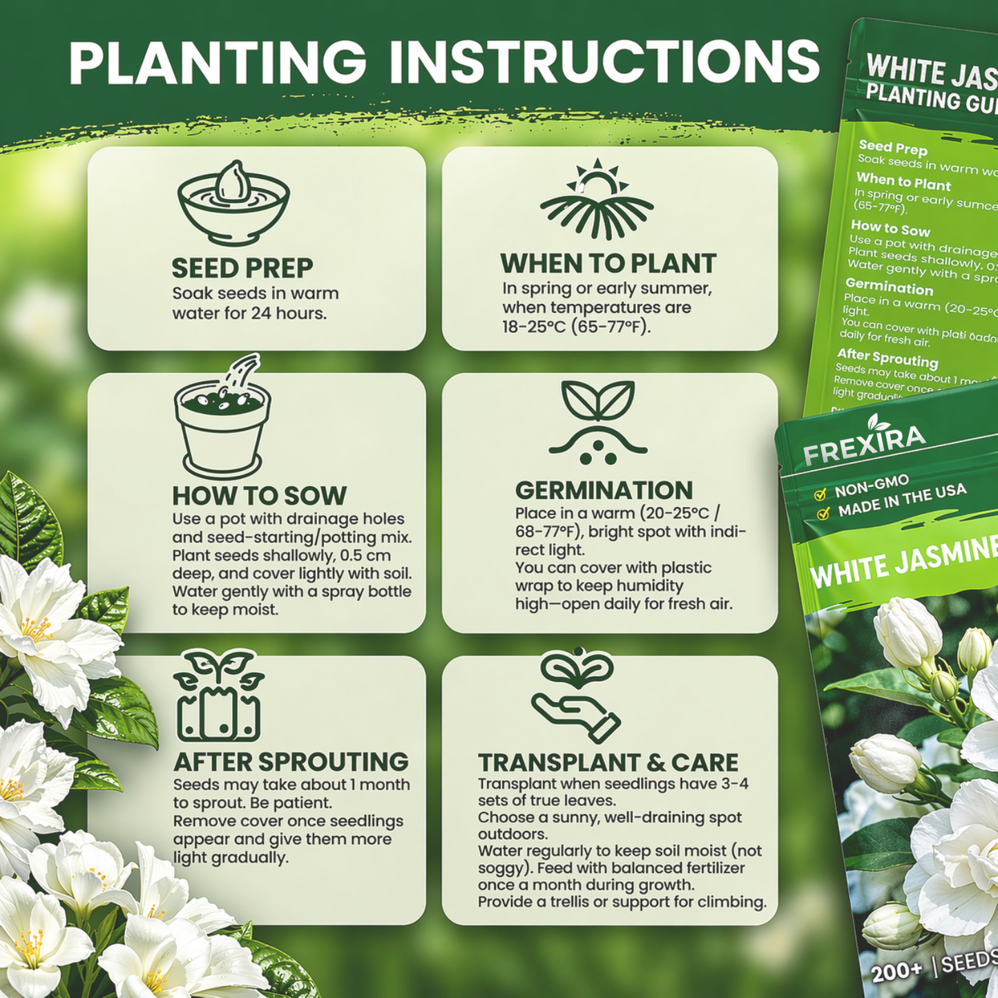 Jasmine Flower Seeds (Winter Hardy) – 50% OFF Today Only