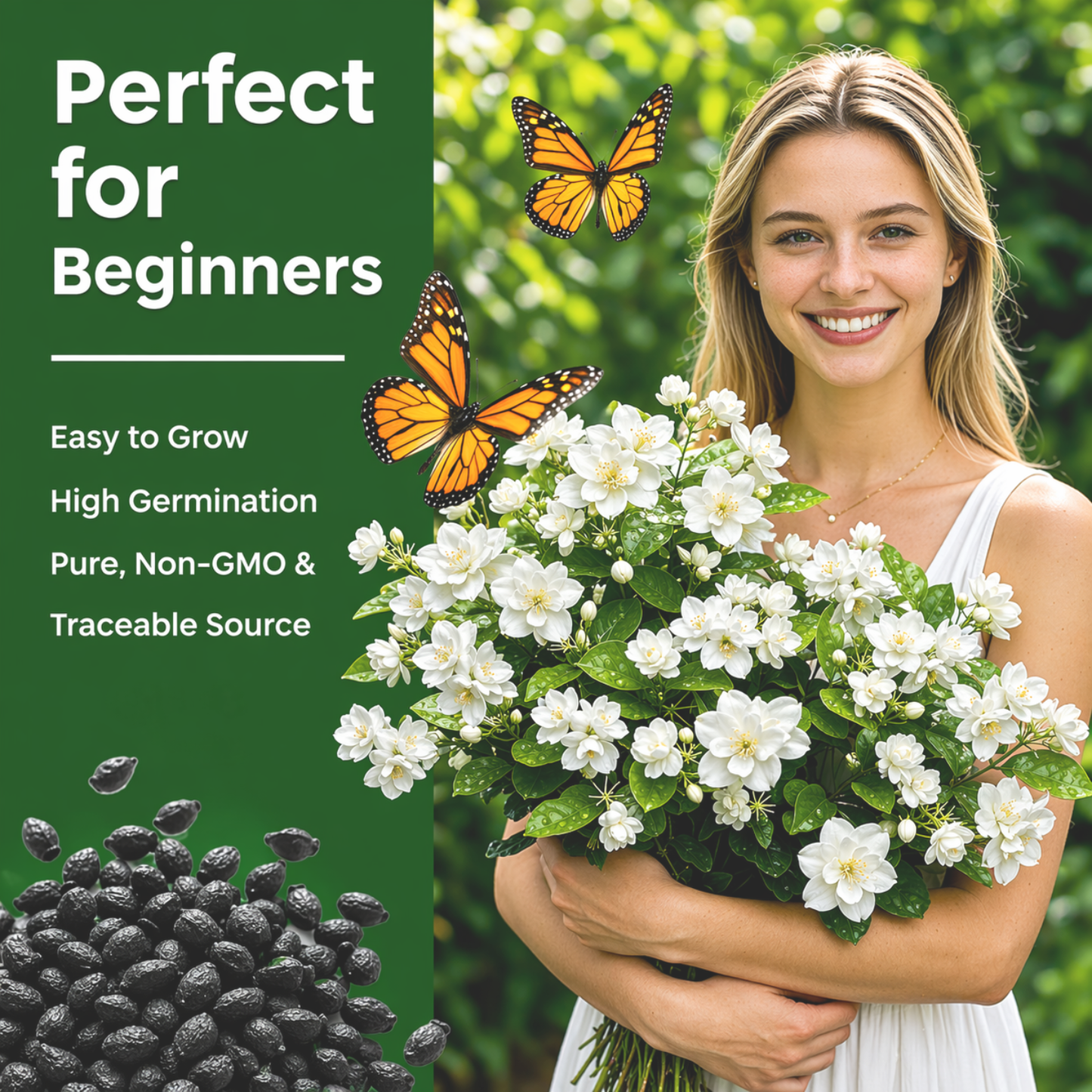 Jasmine Flower Seeds (Winter Hardy) – 50% OFF Today Only