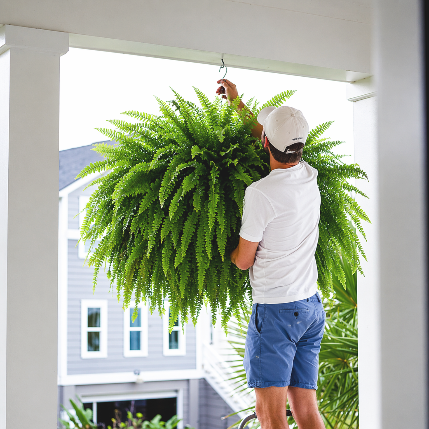 UV-Resistant Lifelike Artificial Boston Fern