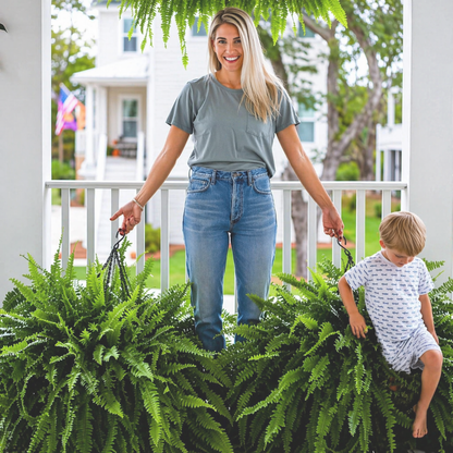 UV-Resistant Lifelike Artificial Boston Fern