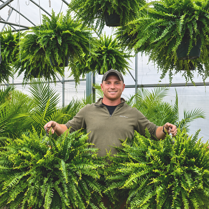 UV-Resistant Lifelike Artificial Boston Fern